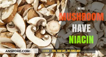 Mushrooms: Niacin-Rich Superfood or Not?