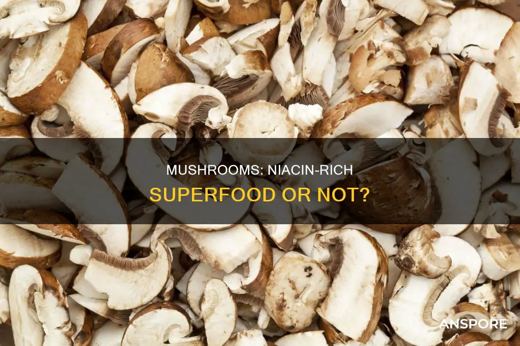 do all mushrooms have niacin