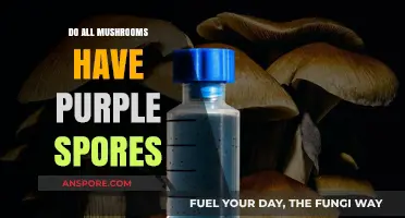 Purple Spores: Do All Mushrooms Share This Unique Trait?