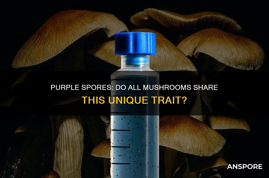 do all mushrooms have purple spores