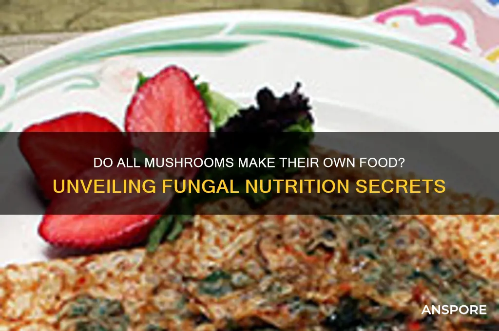 do all mushrooms make their own food