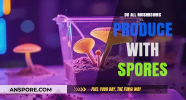 Do All Mushrooms Produce Spores? Unveiling Fungal Reproduction Secrets