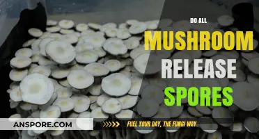 Do All Mushrooms Release Spores? Unveiling Fungal Reproduction Secrets