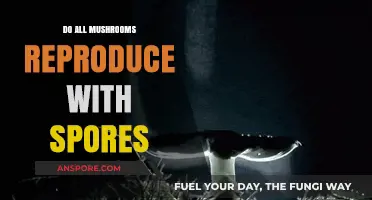 Do All Mushrooms Reproduce with Spores? Unveiling Fungal Reproduction Secrets