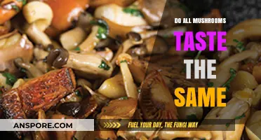 Do All Mushrooms Taste Alike? Exploring Flavor Diversity in Fungi