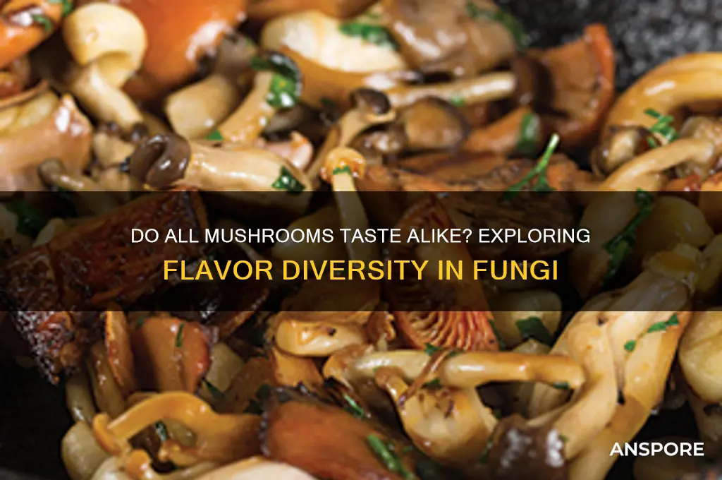 do all mushrooms taste the same