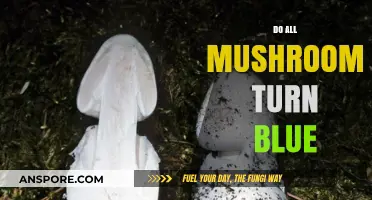 Mushroom Mystery: Blue or Not?