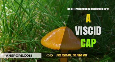 Do All Psilocybin Mushrooms Have a Viscid Cap? Exploring Varieties