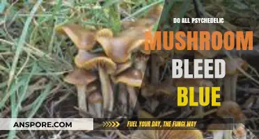 Do All Psychedelic Mushrooms Bleed Blue? Unveiling the Truth