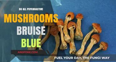 Do All Psychoactive Mushrooms Bruise Blue? Unveiling the Myth