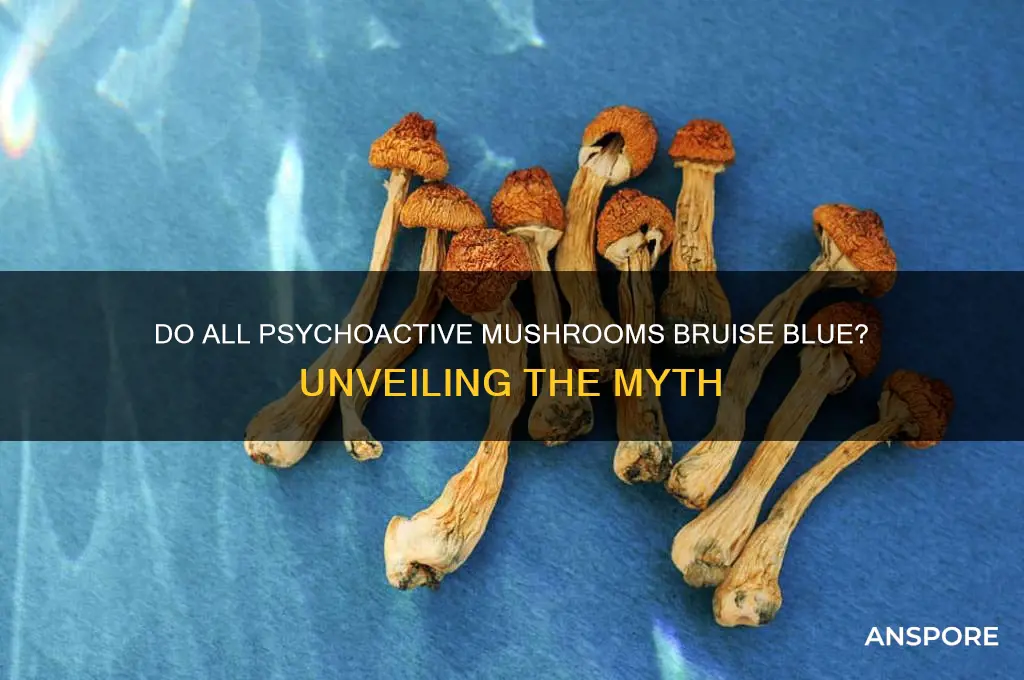 do all psychoactive mushrooms bruise blue