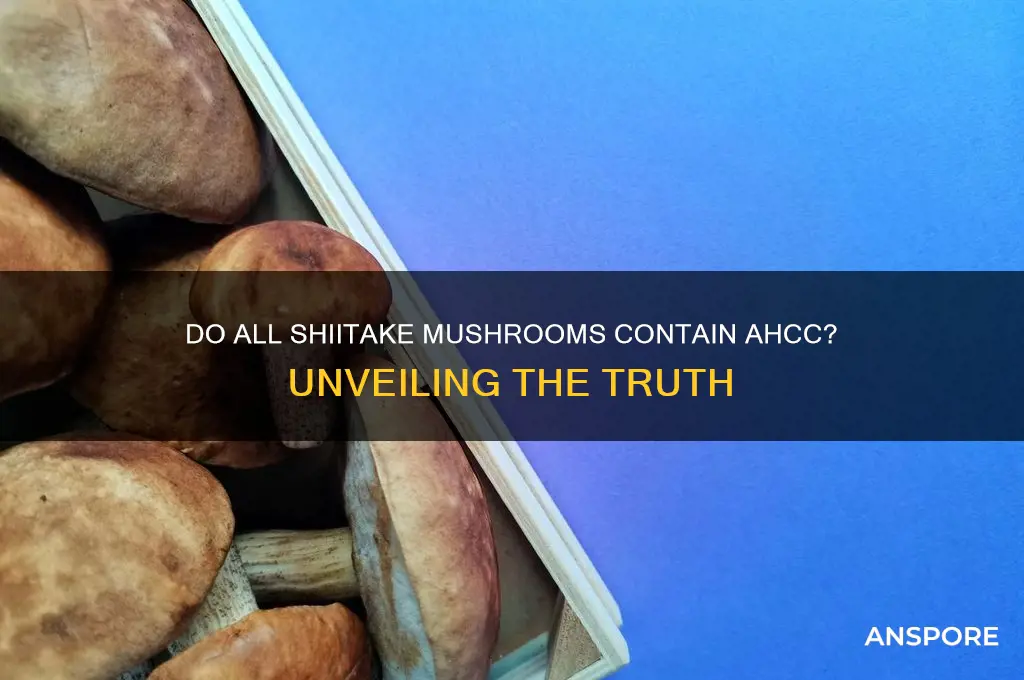 do all shiitake mushrooms contain ahcc
