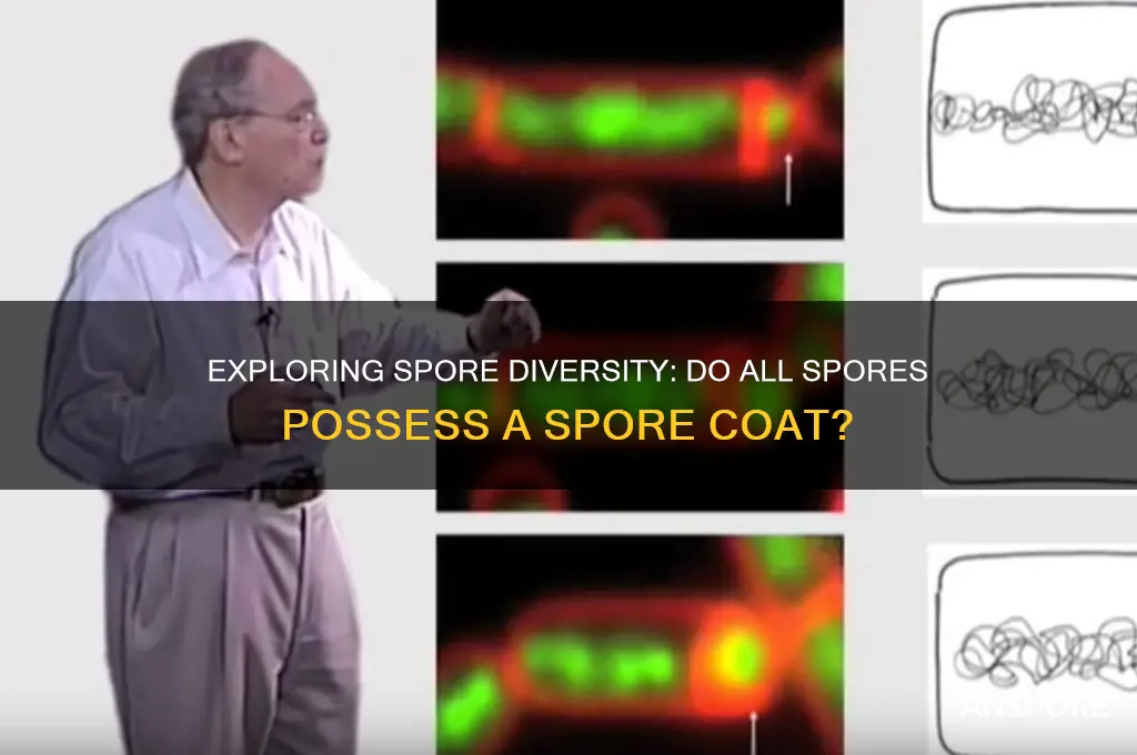 do all spores have a spore coar