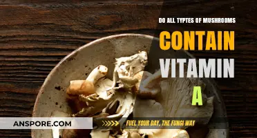 Do All Mushrooms Contain Vitamin A? Unveiling Nutritional Facts