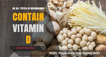 Do All Mushrooms Contain Vitamin D? Unveiling the Truth