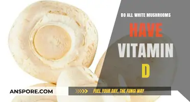 Do All White Mushrooms Contain Vitamin D? Facts Revealed
