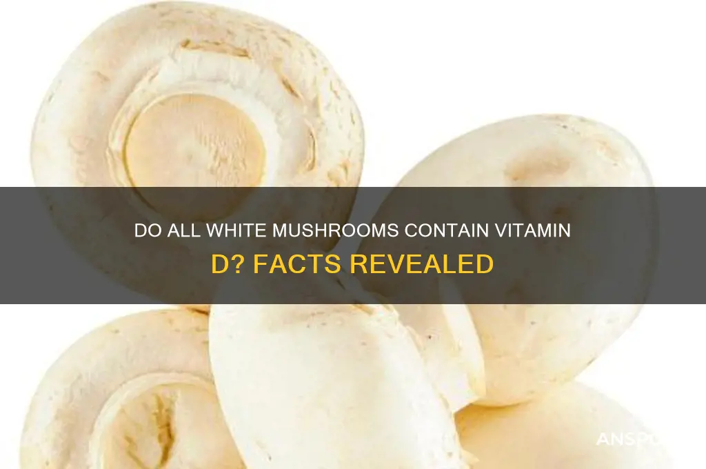 do all white mushrooms have vitamin d