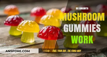 Amanita Mushroom Gummies: Do They Work?