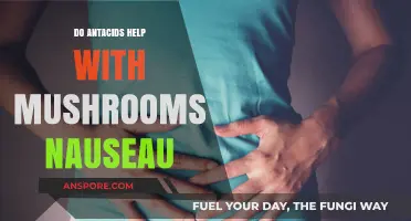 Can Antacids Relieve Mushroom-Induced Nausea? Exploring the Connection
