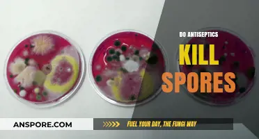 Do Antiseptics Kill Spores? Unraveling Their Effectiveness Against Spores