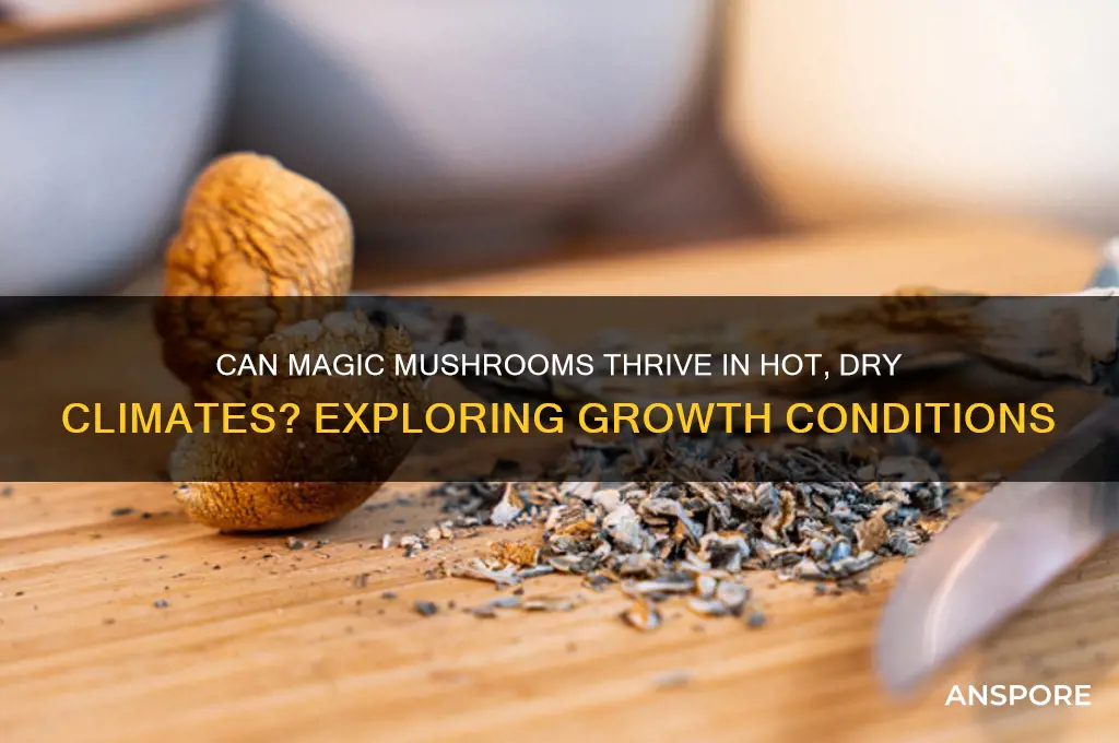 do any magic mushrooms grow when it