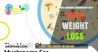Medicinal Mushrooms and Weight Loss: Fact or Fiction?