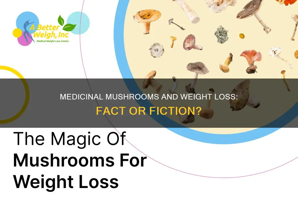 do any medicinal mushrooms help with weight loss