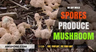 Do Mold Spores Grow Mushrooms? Unraveling the Fungal Connection