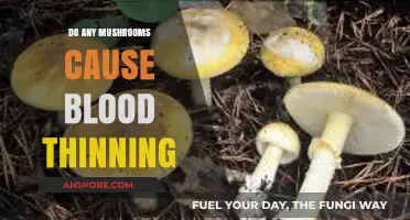 Mushrooms and Blood Thinning: Uncovering the Truth Behind Their Effects
