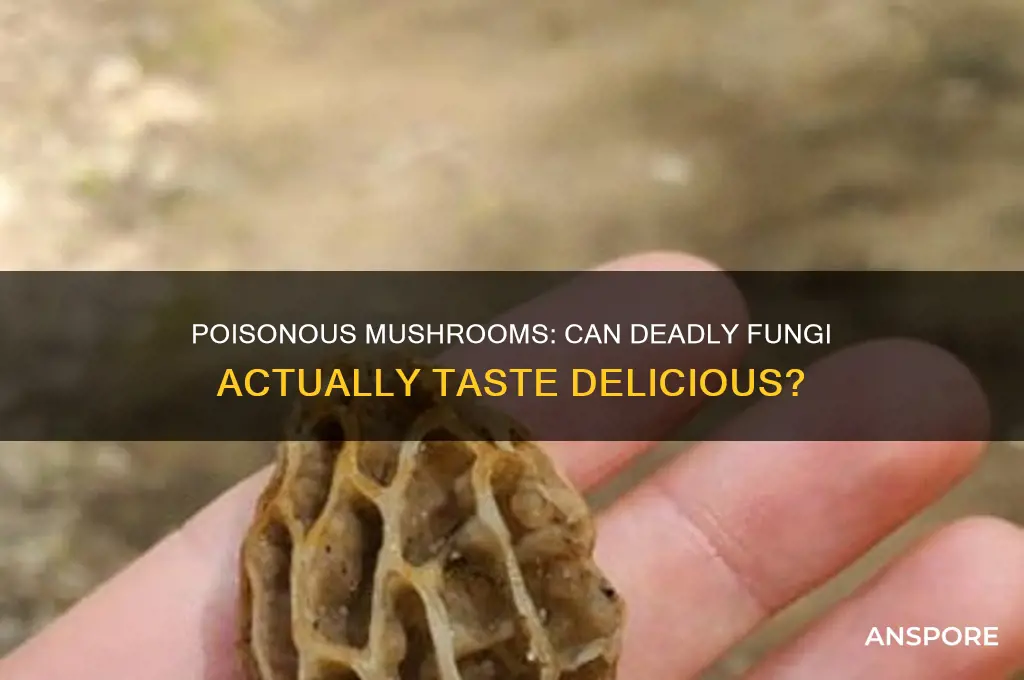 do any poisonous mushrooms taste good