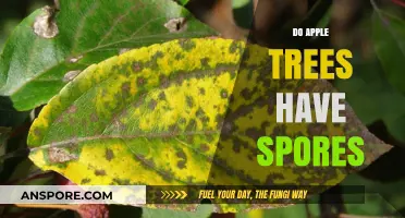 Do Apple Trees Have Spores? Unraveling the Myth and Facts