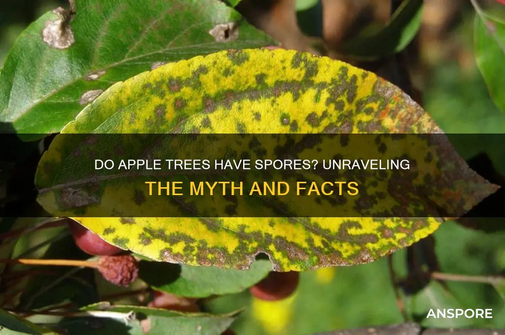 do apple trees have spores