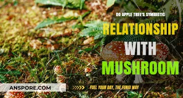 Apple Trees and Mushrooms: Unveiling Their Hidden Symbiotic Partnership