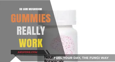 Do Auri Mushroom Gummies Deliver Real Results? A Comprehensive Review