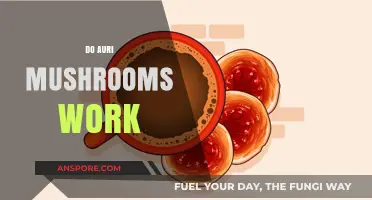 Auri Mushrooms: Do They Work?