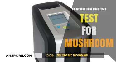 Do Standard Urine Drug Tests Detect Psilocybin Mushrooms?