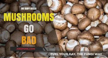 Do Baby Bella Mushrooms Go Bad? Shelf Life and Storage Tips