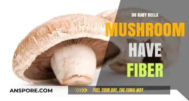 Baby Bella Mushrooms: Unveiling Their Fiber Content and Health Benefits