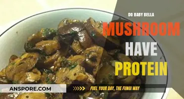Baby Bella Mushrooms: Unveiling Their Surprising Protein Content and Benefits