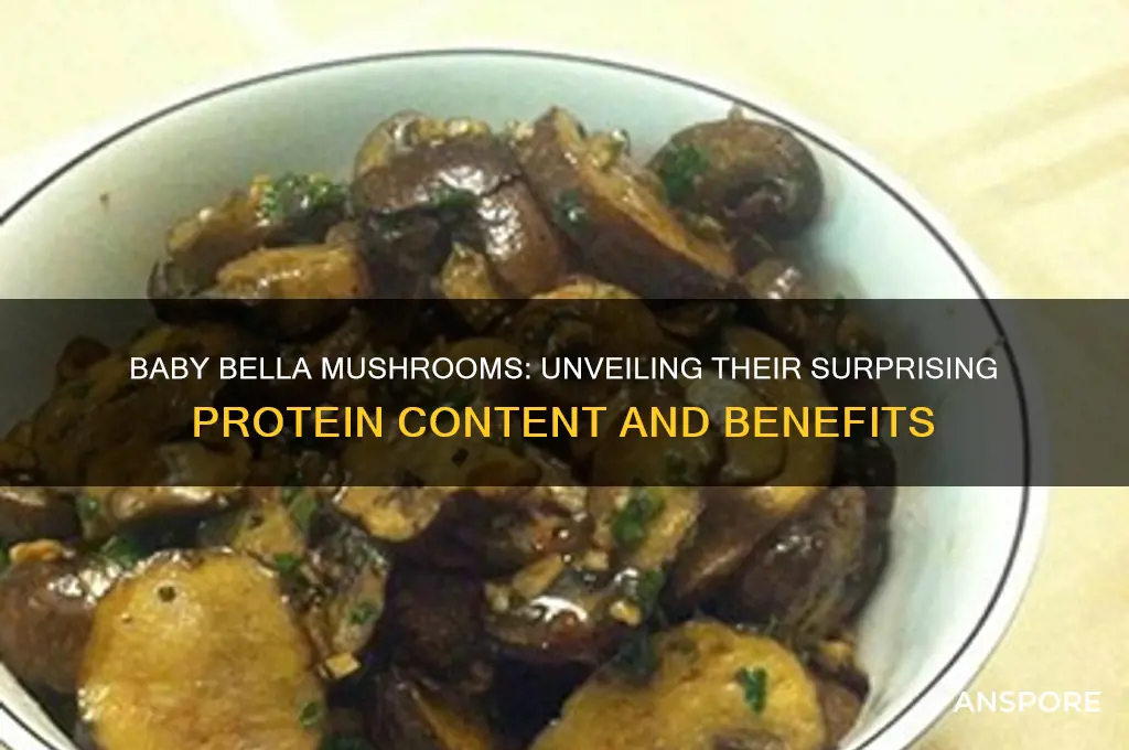 do baby bella mushrooms have protein