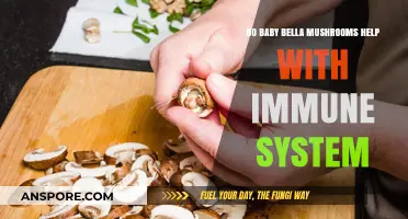 Boost Your Immunity: Baby Bella Mushrooms' Surprising Health Benefits