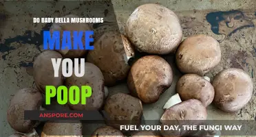 Do Baby Bella Mushrooms Cause Pooping? Exploring Digestive Effects