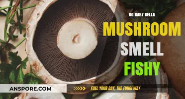 Do Baby Bella Mushrooms Smell Fishy? Uncovering the Truth