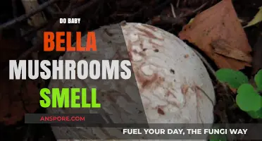 Baby Bella Mushrooms: Do They Smell?