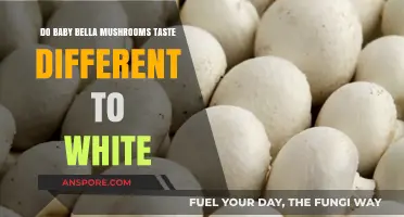 Baby Bella vs. White Mushrooms: A Taste Comparison Guide
