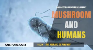 Bacterial and Viral Impacts: How Mushrooms and Humans Compare