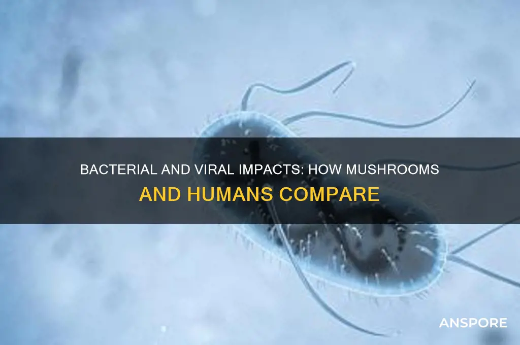 do bacteria and viruses affect mushrooms and humans
