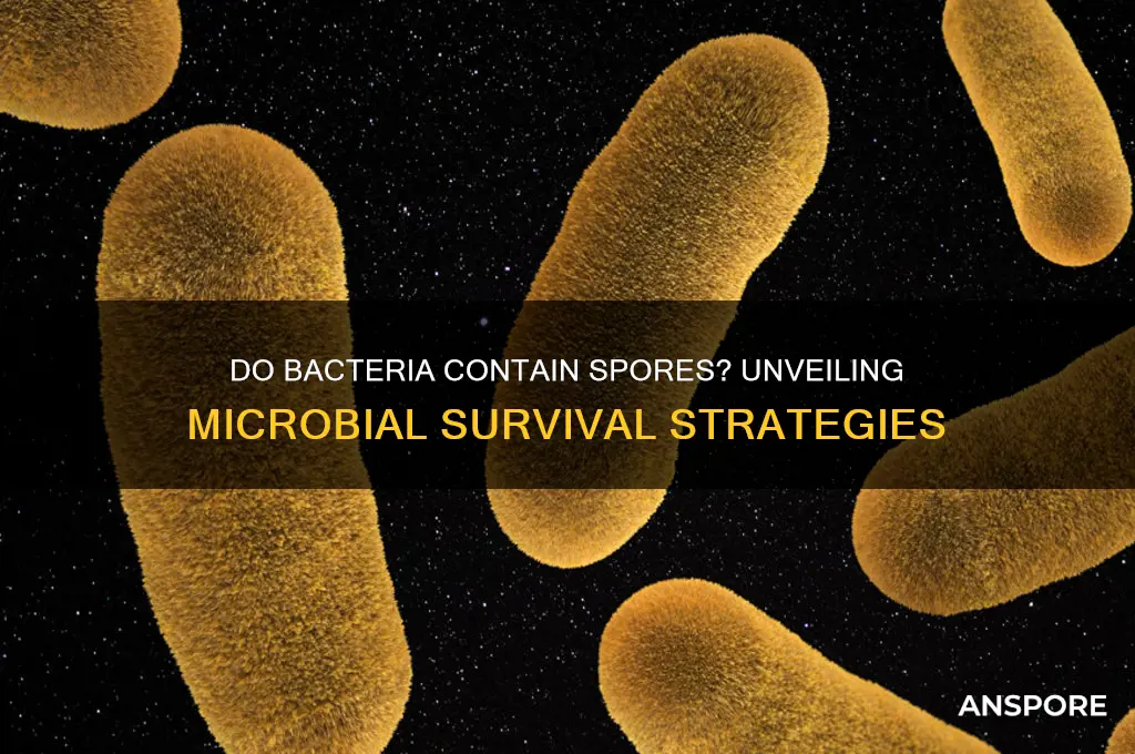 do bacteria contain spores