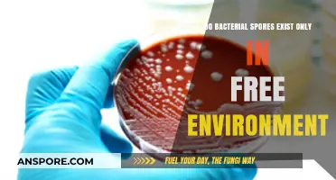 Bacterial Spores: Free Environment Exclusive or Hidden in Hosts?