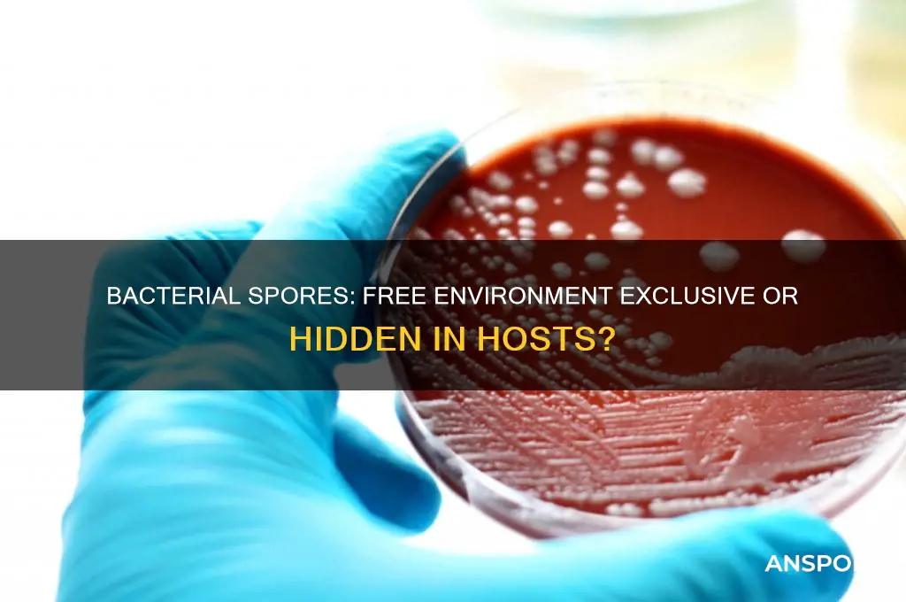 do bacterial spores exist only in free environment